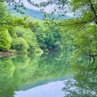 بقا در طبیعت.یوگا.مدیتیشن آرامش.