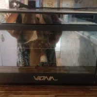 توستر تمام لسم ۶۰لیتر