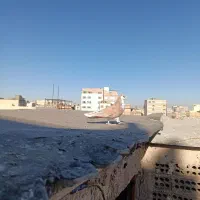 کبوترعتیقه نر|پرنده|مشهد, عامل|دیوار