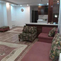 اجاره ی سویت و آپارتمان مبله در همه جای تهران|اجارهٔ کوتاه‌مدت آپارتمان و سوئیت|تهران, دکتر هوشیار|دیوار