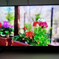 led32 یونیوا نو|تلویزیون و پروژکتور|تهران, شهرک رضویه|دیوار