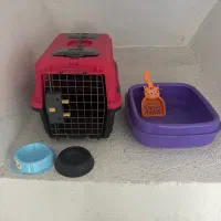 باکس و ظرف پت