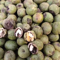 گردو درجه یک مغز دار کاغذی
