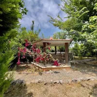 ویلا باغ 670متر/ مشجر و دلباز/ عرصه عیان/نعمت آباد|فروش خانه و ویلا|چمستان, |دیوار