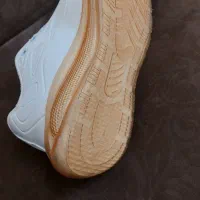 کفش|کیف، کفش، کمربند|قم, شهرک فاطمیه|دیوار