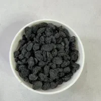 مویز شانی