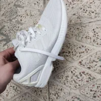 zx فلوکس|کیف، کفش، کمربند|تهران, فلاح|دیوار