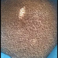 محصولات کشاورزی گندم جو نخودلوبیاکود ذرت دانه عدس