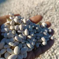 لوبیا سفید درجه یک|خوردنی و آشامیدنی|نهاوند, |دیوار