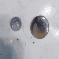 دو عدد نگین شجر