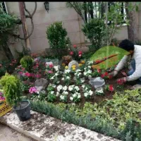 شرکت باغبان یار