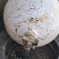 کپسول پژویی