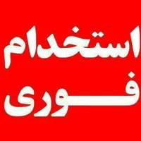 تولیدی کیک وکلوچه