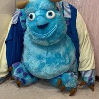 بزرگ ترین سایز سالیوان