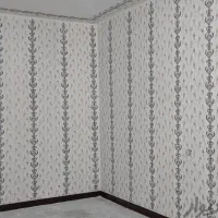 نقاشی ساختمان وطرح کاغذدیواری|خدمات پیشه و مهارت|خرم‌آباد, |دیوار