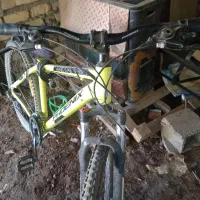 دوچرخه|دوچرخه، اسکیت، اسکوتر|سپیدان, |دیوار