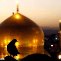 تور مشهد اقتصادی فقط با 5 قسط بدون سود و کارمزد