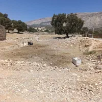معاوضعه زمین با گوسفند