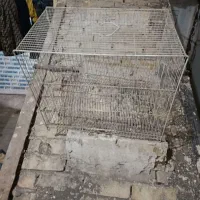 قفس پرنده|لوازم جانبی حیوانات|مشهد, پنجتن|دیوار