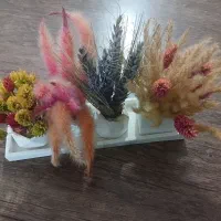 گلدون و گل های خشک زیبا