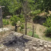 باغچه ۳۰۰متری آب و درختان میوه