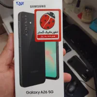 a26 256 ram8
