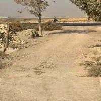 اجاره گلخانه 6000 متر فول جاده ابباریک|اجارهٔ دفتر صنعتی، کشاورزی، تجاری|جوادآباد, |دیوار