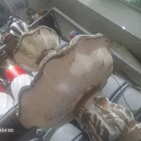 آبنما آبشار حوض|مجسمه، تندیس، ماکت|شیراز, نیستان|دیوار