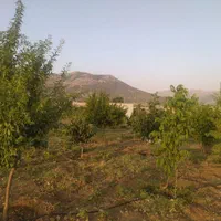 فروش باغ