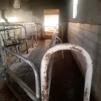 فروش گاوداری شیری۲هکتار پروانه۱۵۰راس چاه آب صفادشت|فروش دفتر صنعتی، کشاورزی، تجاری|صفادشت, |دیوار