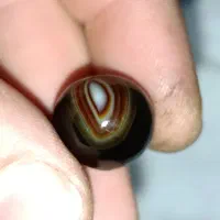 سنگ سلیمانی شفت العبد|جواهرات|خسروشاه, |دیوار