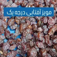 کشمش آفتابی مویز شیراز شیره خرما انگور شانی سنندج|خوردنی و آشامیدنی|تهران, شهرک شریعتی|دیوار