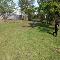 خونه مادر بزرگه/کاملا مسکونی/با امتیازات|فروش خانه و ویلا|آستانه اشرفیه, |دیوار