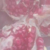 انار کوهمره سرخی|خوردنی و آشامیدنی|شیراز, کیان آباد|دیوار