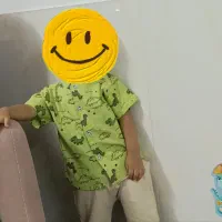 تم تولد دایناسور|اسباب‌‌بازی|مشهد, نیزه|دیوار