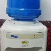 ابسردکن امریکایی