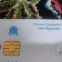 مدارک گمشده بلوارسیبویه