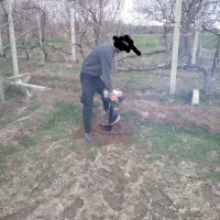 خدمات کشاورزی ابراهیمی|خدمات باغبانی و درختکاری|آذرشهر, |دیوار