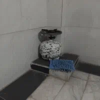 پکنیک
