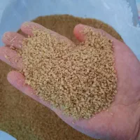 بلغور خانگی تازه با گندم امسال