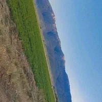 اجاره زمین کشاورزی