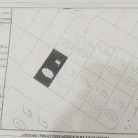 زمین واقع در شهرک گچی،