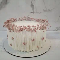 قبولی انواع کیک  خامه برای روز مادر تولد یلدا|خوردنی و آشامیدنی|سهند, |دیوار