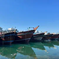 لنج دبی درحال بارگیری|خدمات حمل و نقل|بندر گناوه, |دیوار