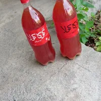 آبغوره ترش و خوشمزه تمیز ارگانیک موجوده|خوردنی و آشامیدنی|صحنه, |دیوار