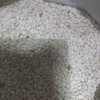 فروش لوبیا سفید|خوردنی و آشامیدنی|شیراز, لاله|دیوار