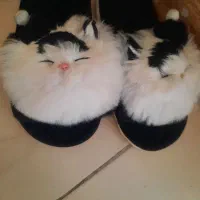 دمپایی روفرشی گربه خارجی