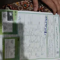 پژو پارس دوگانه مدل 94|خودرو سواری و وانت|اصفهان, زهران|دیوار