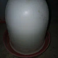 آبخوری جوجه