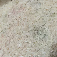 برنج فجر سوزنی و روغنی قیمت توافقی